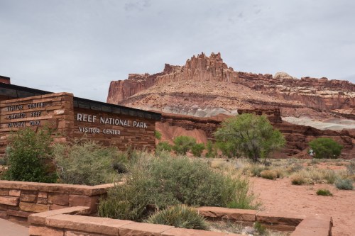 20160505 - 125602 - 20160505-P1020925