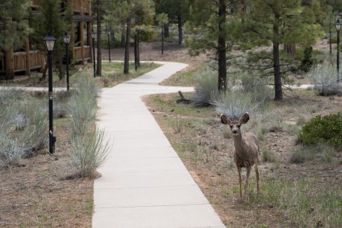 20160506 - 125046 - 20160506-DSC03143