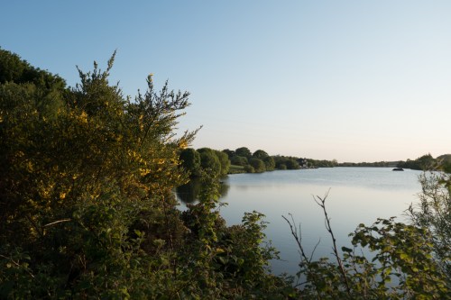 20160605 - 123908 - 20160605-P1050832