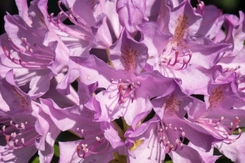 20160606 - 091615 - 20160606-P1050894